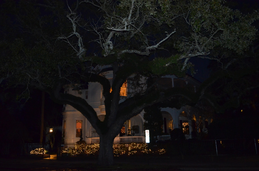 Charleston historic district, early evening 1/13/14 by congaree