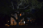 12th Jan 2014 - Charleston historic district, early evening 1/13/14