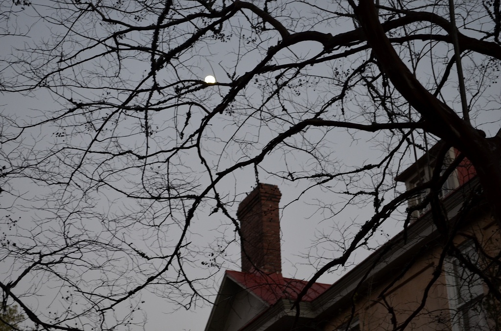 Charleston historic district, early evening 1/13/14 by congaree