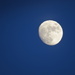 Waxing Gibbous Moon  by craftymeg