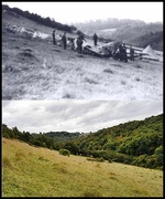 13th Jan 2014 - "Then & Now", Strawberry Bank