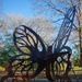 Butterfly chair by lynne5477