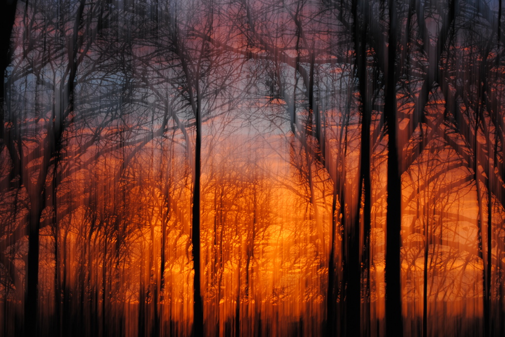 Sunrise Painted Forest Fire by alophoto