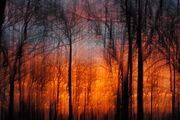 13th Jan 2014 - Sunrise Painted Forest Fire
