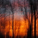 Sunrise Painted Forest Fire by alophoto