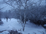 13th Jan 2014 - Frosty morning IMGP5953