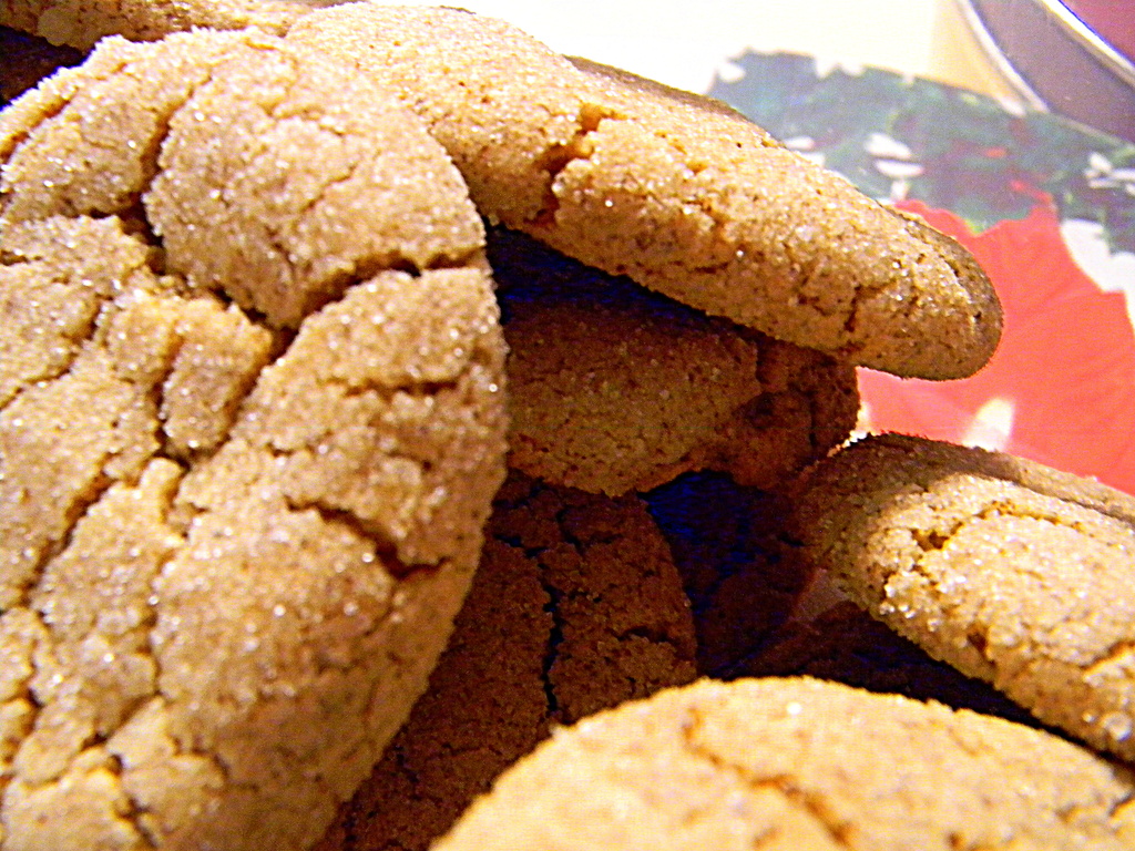 Gingerbread Cookies! by homeschoolmom