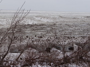 12th Jan 2014 - Lake Erie Ice