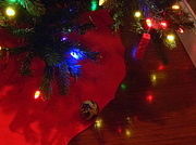 16th Dec 2013 - Ornament down!