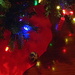Ornament down! by homeschoolmom