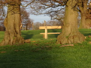 14th Jan 2014 - Visitors seat at Morven Park.