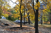 2nd Nov 2012 - Central Park in Late Fall