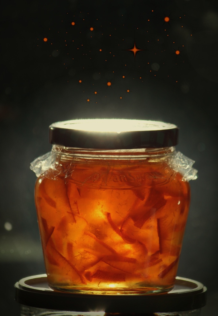 Marmalade by judithg