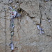 The Western Wall (The Wailing Wall) by mamabec
