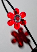 14th Jan 2014 - Red Flower 