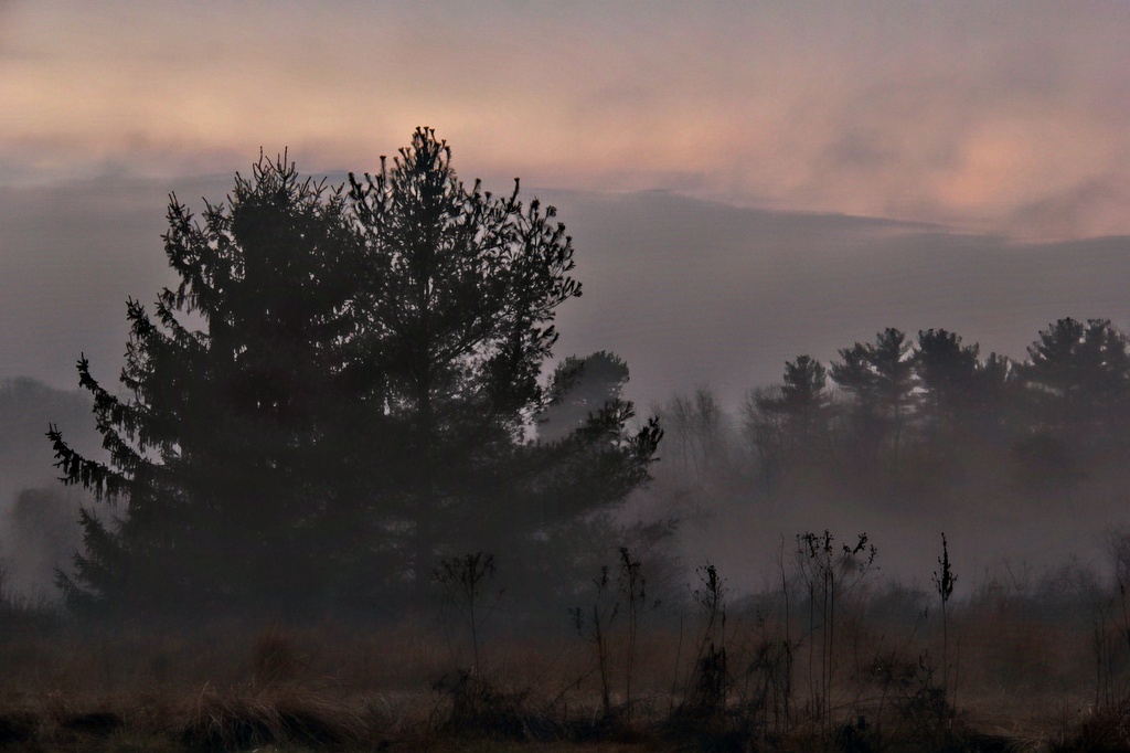 Hovering Fog by digitalrn