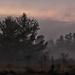 Hovering Fog by digitalrn