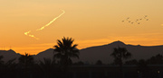 14th Jan 2014 - Desert Sunrise