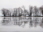 14th Jan 2014 - Oneida Lake
