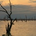 After the sunset at Lake Mulwala, NSW by leestevo