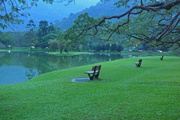 13th Jan 2014 - Evening at Taiping Lake, Perak