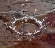 15th Jan 2014 - water drop