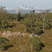 Perth City- view from the Hills by gosia