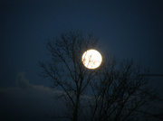 15th Jan 2014 - Amazing moon :)