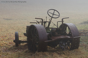 15th Jan 2014 - Tractor in Fog