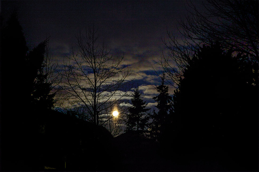 Moonset by gardencat