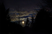 16th Jan 2014 - Moonset