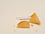 16th Jan 2014 - Fortune Cookie