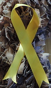 16th Jan 2014 - Yellow Ribbon!