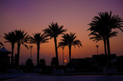 13th Jan 2014 - Day 013, Year 2 - Arabian Sunset