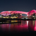 Day 15 - Pink Yas Viceroy by stevecameras