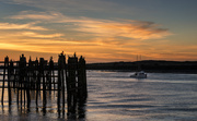 16th Jan 2014 - Newport Sunset With Cormorants and Boat 