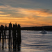 Newport Sunset With Cormorants and Boat  by jgpittenger