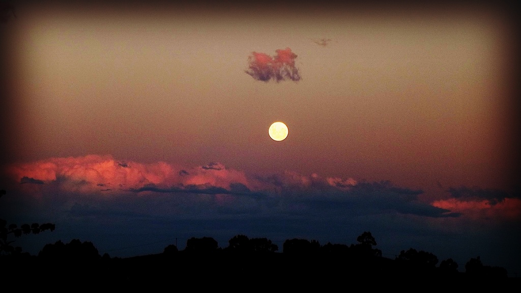 A Dreamer's Moon by maggiemae