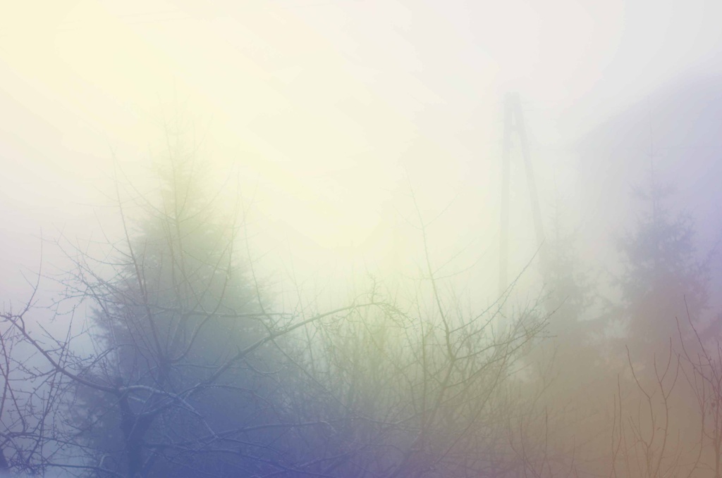 The mist! by walia
