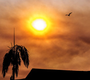 16th Jan 2014 - (Day 337) - Smoky Sunrise