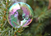 16th Jan 2014 - Bubble Ornament