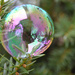 Bubble Ornament by mhei