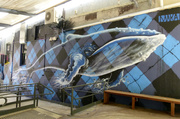 17th Jan 2014 - Day 17 - Street Art - Whale