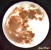 17th Jan 2014 - Bright Full Moon