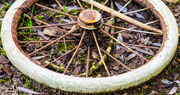 17th Jan 2014 - Pram wheel - 17-01