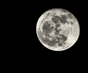17th Jan 2014 - 17th January 2014 - Moon
