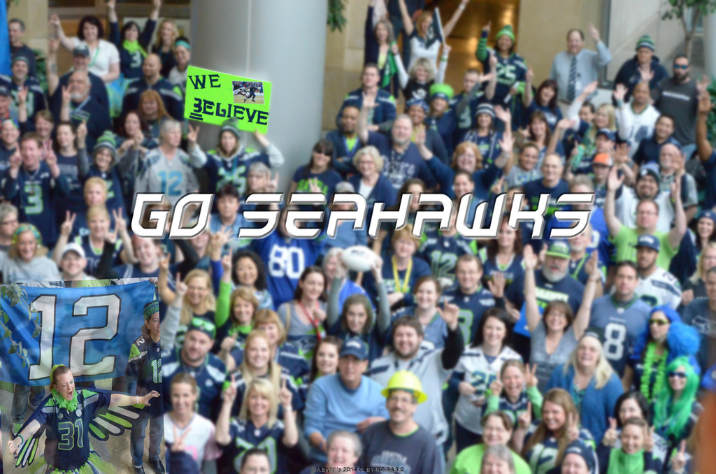 Go Seahawks!!! by byrdlip