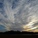 Skies over marsh, Charles Towne Landing State Historic Site, Charleston, SC by congaree