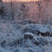 Winterly Wonderland by susale