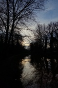 18th Jan 2014 - Sunset over the River Wey